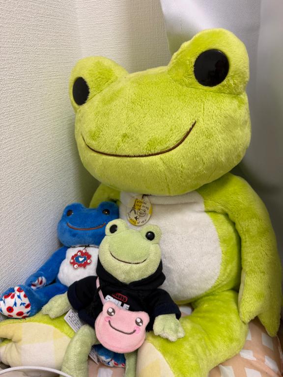 本日お休みします😭