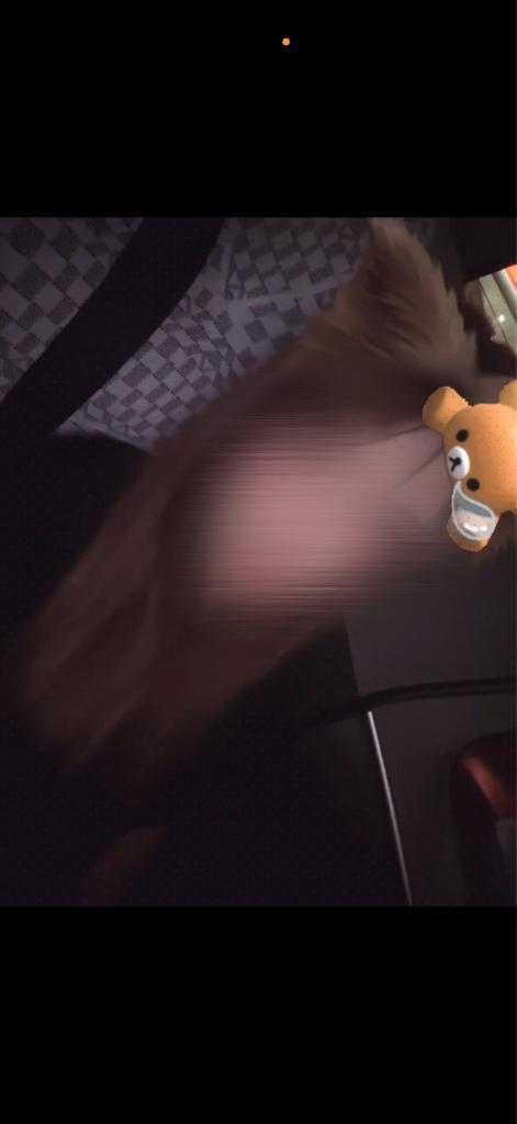 おはよう