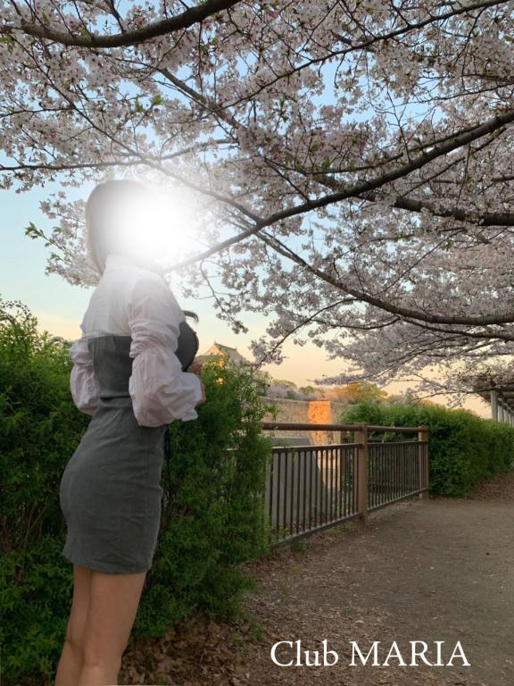 ご予定は？🫣