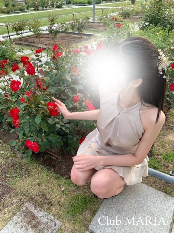 七夕🎋　3年目突入❣️