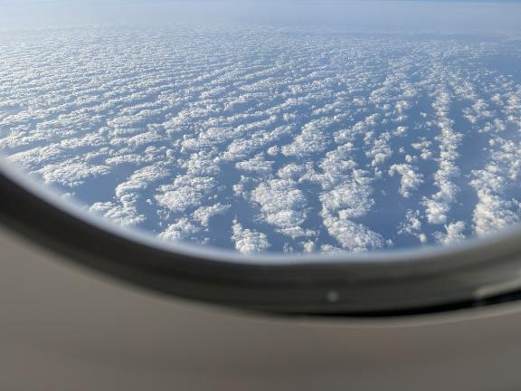 お久しぶり/事前完売/Ranking