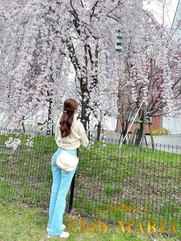 🌸４月🌸