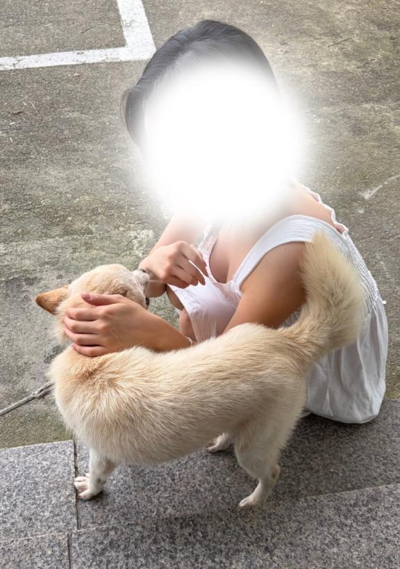 お気に入りの写真