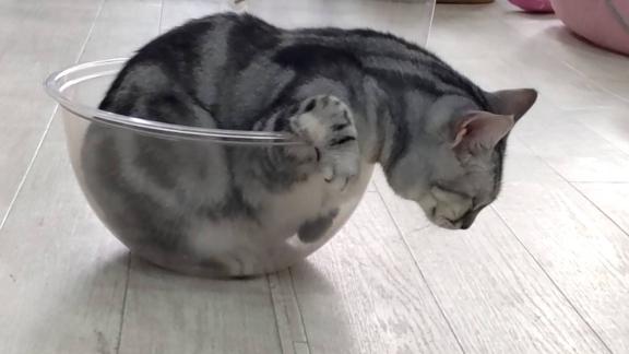 ごめんなさい😭