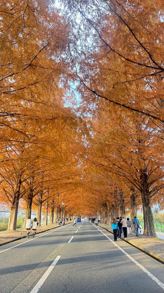 そういえば…🍁🍂