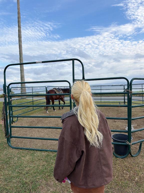 🐴🐴🐴