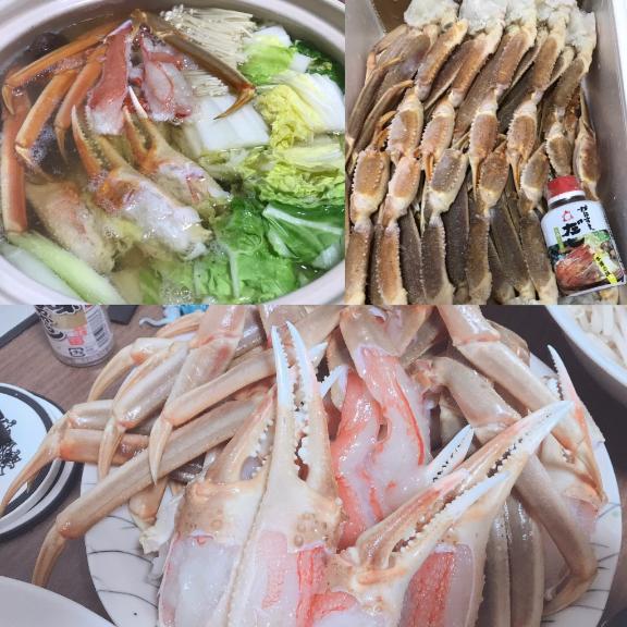 [お題]from:カニ鍋さん