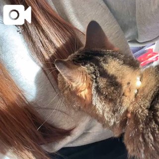 ♡♡今日っ!!👻👻👻♡♡