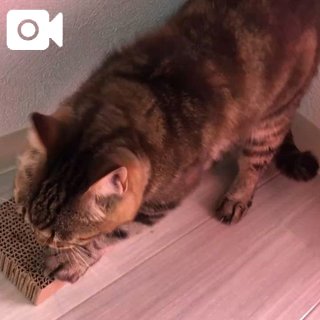 ♡♡新居♡♡