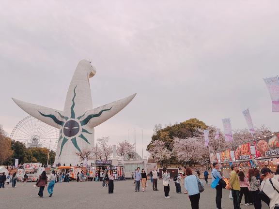 万博記念公園🌸