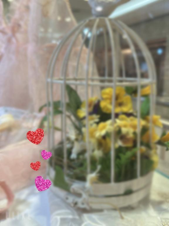 🌼🌼🌼