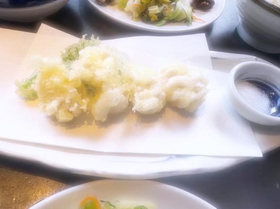 ゆうわくさい🎹