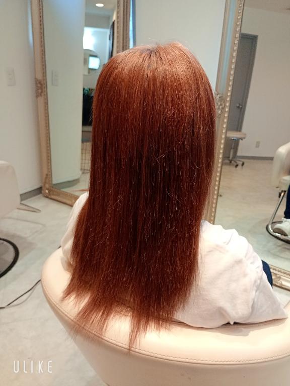 今日は