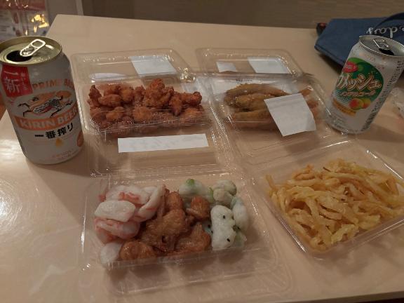 お休みです( ³ω³).｡o