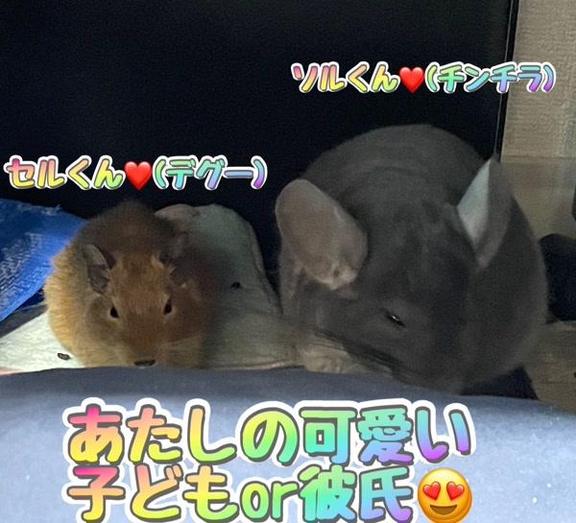 写メ日記サムネイル