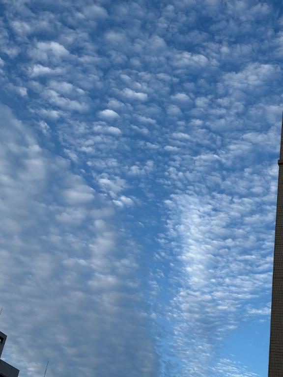 ひつじ雲🫶🏻