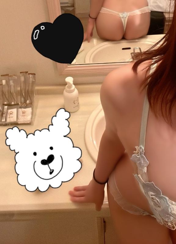 去年ぶりの