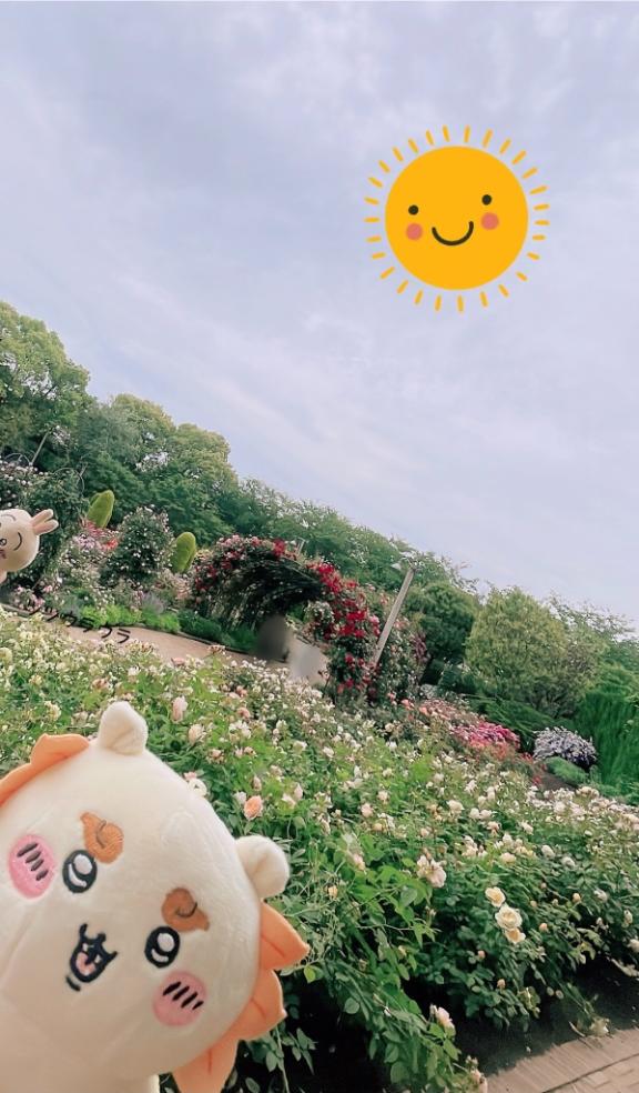 5.18のお礼🌹