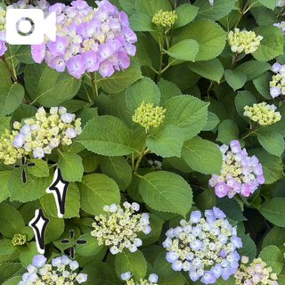 嬉しいな〜☺️♪