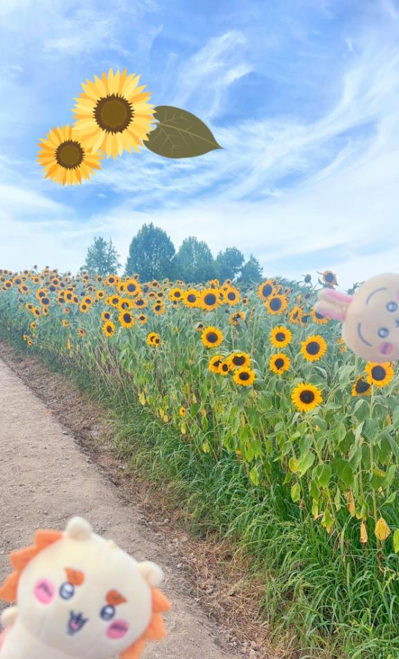 8.9のお礼🌻