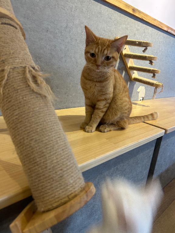 そういえば・・