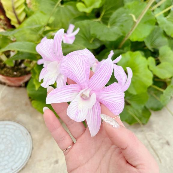 実は大ピンチでした…🆘