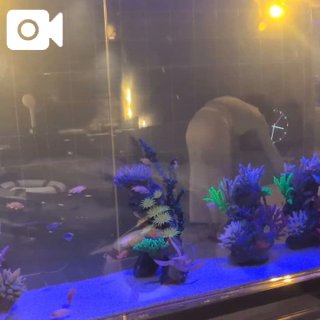 一度体験してみたい一日の過ごし方