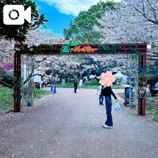 【📣音あり】お花見プロレスのお礼💌