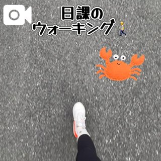 おはぽよ〜🦜