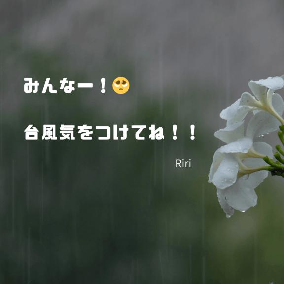 台風大丈夫かな？🥺