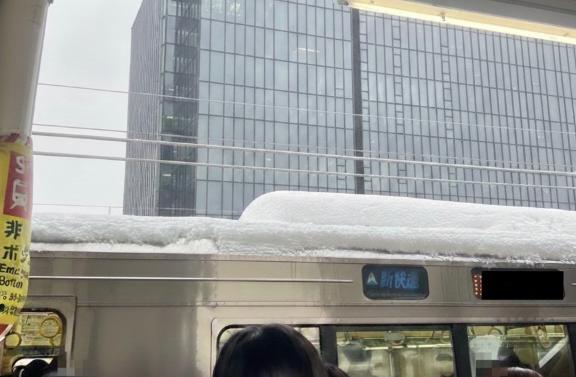 雪やこんこん☃️