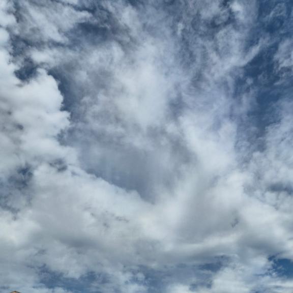 おはようございます🌸