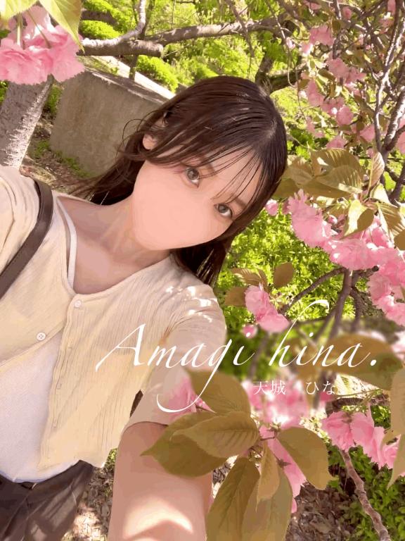 💌猫ちゃん、見せてもらい損ねたーっ！！