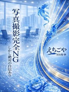 えちごやSS商事 酒店服务 SARAKIKOTONE