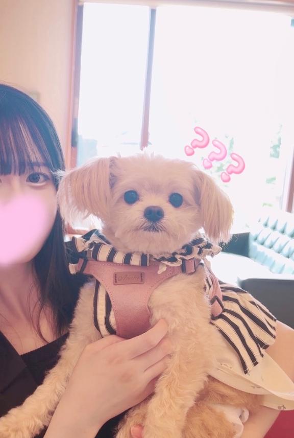 写メ日記サムネイル