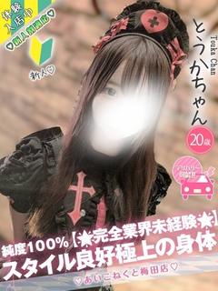 コンカフェ×オナクラ あいこねくと日本橋店 안마(데리버리) TOUKA