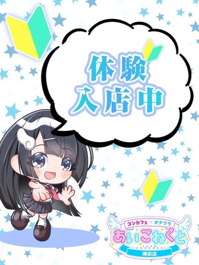 コンカフェ×オナクラ あいこねくと日本橋店 안마(데리버리) HARUNA