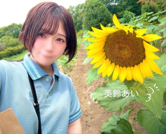 ひまわりの花言葉