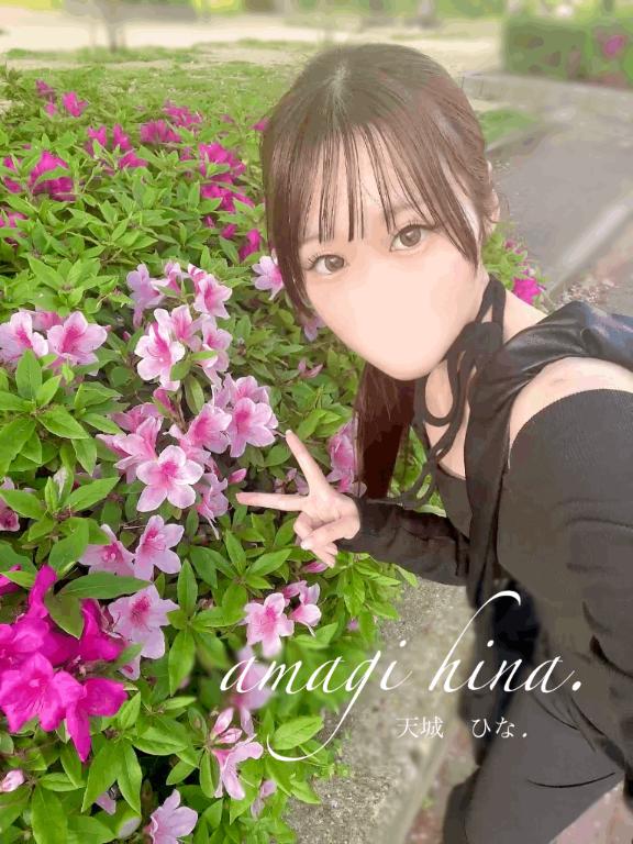 おやすみ2日目の朝です🌞