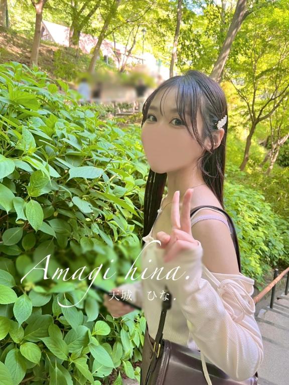 茂茂に茂てて草