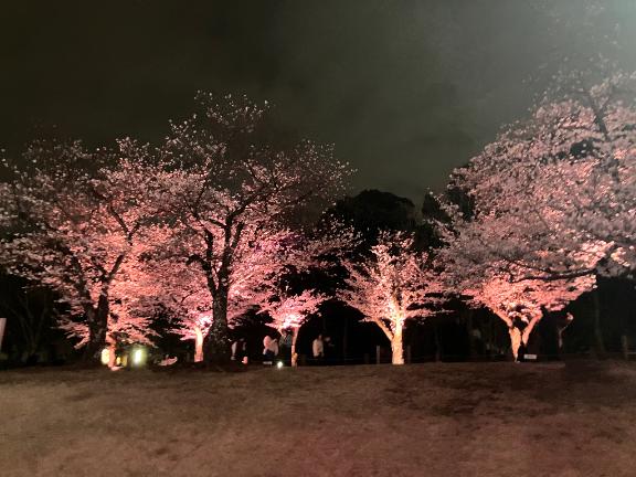 おやすみについて