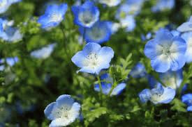 今日もありがとうございました🫧