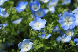 出勤しました⭐️