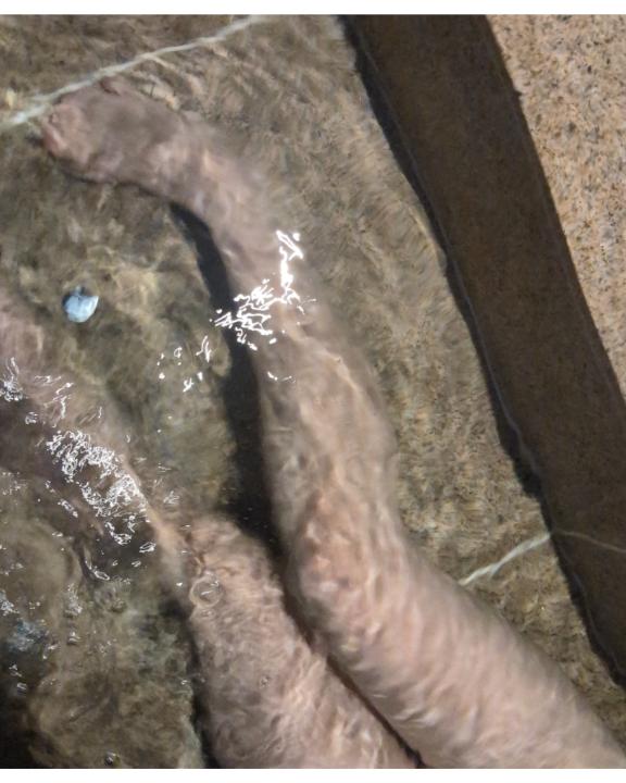 一緒にいかがですか?