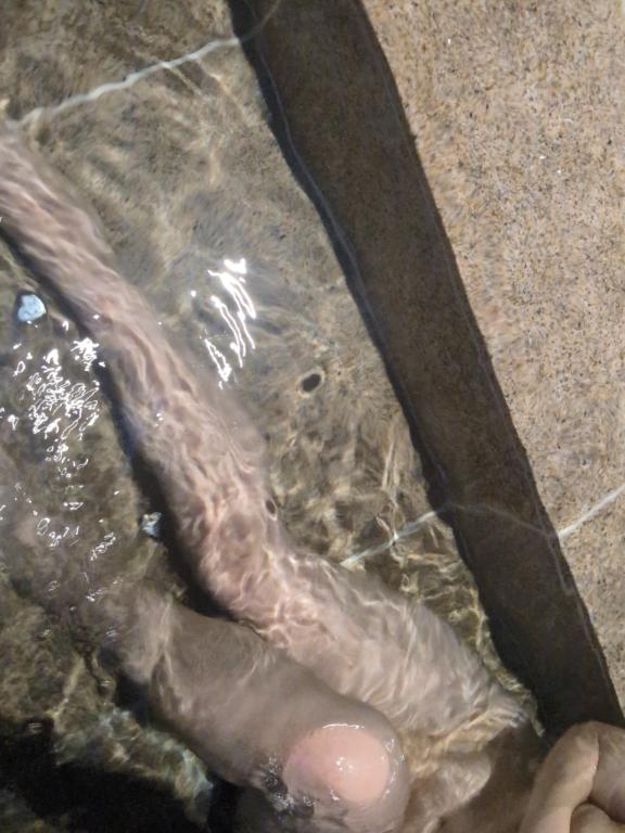 愛人感味わいませんか?