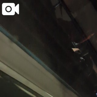 帰るよ〜♫