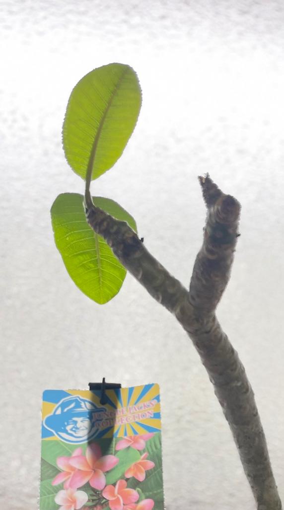 いいことありそう✨