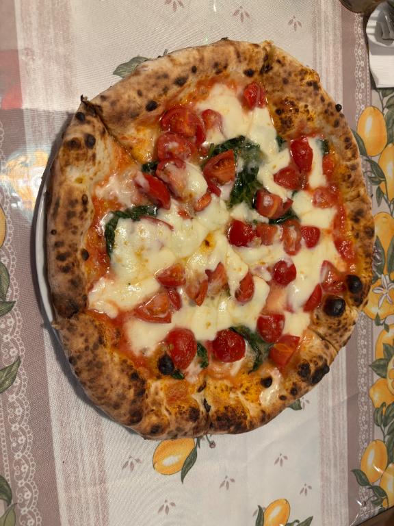 お休み頂いてます🍕