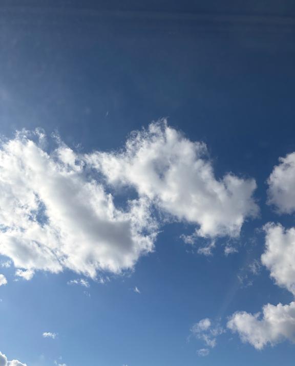 おはようございます☀️