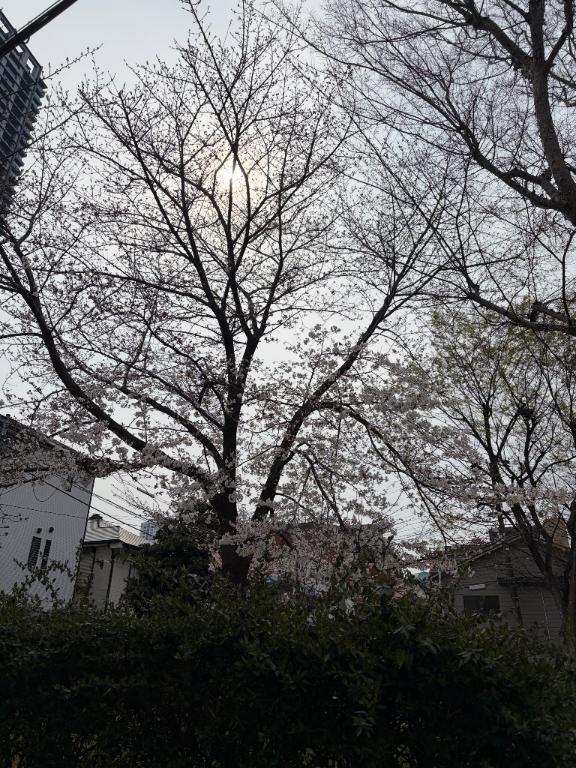 雨ですね〜☔️